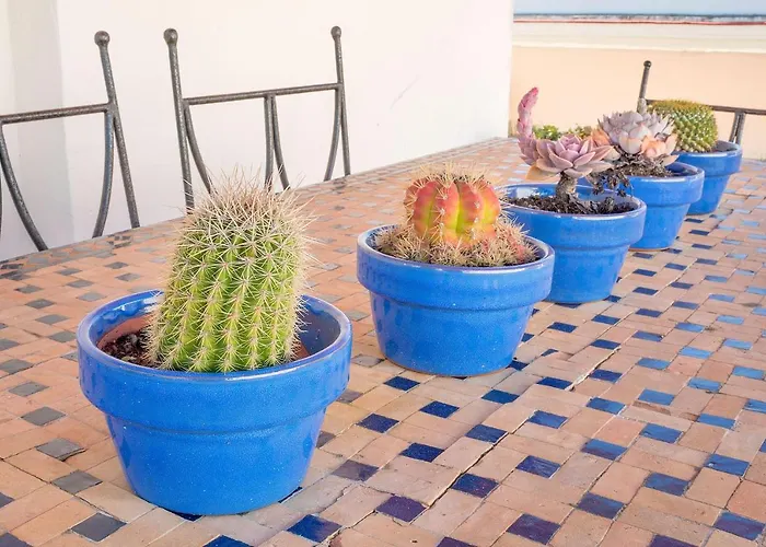 Apartment Atico En El Centro Con Terraza