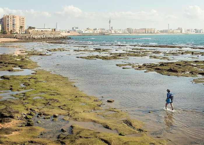 Apartment Atico En El Centro Con Terraza *