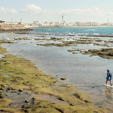 Apartamento ático En El Centro Con Terraza *